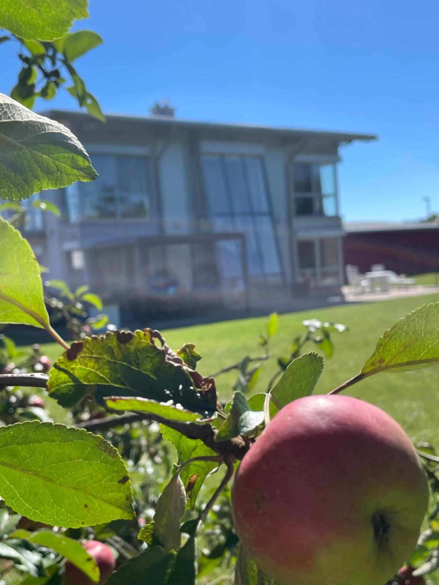 Villa Wanderlux Zella-Mehlis Eksteriør billede